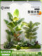 Simulated Plant Bonsai Indoor Decoration Green Plant Combination Ornaments Modern Minimalist Living Room Office Landscaping