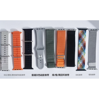 S10 applicable watch band + s9 applicable watch band + charger