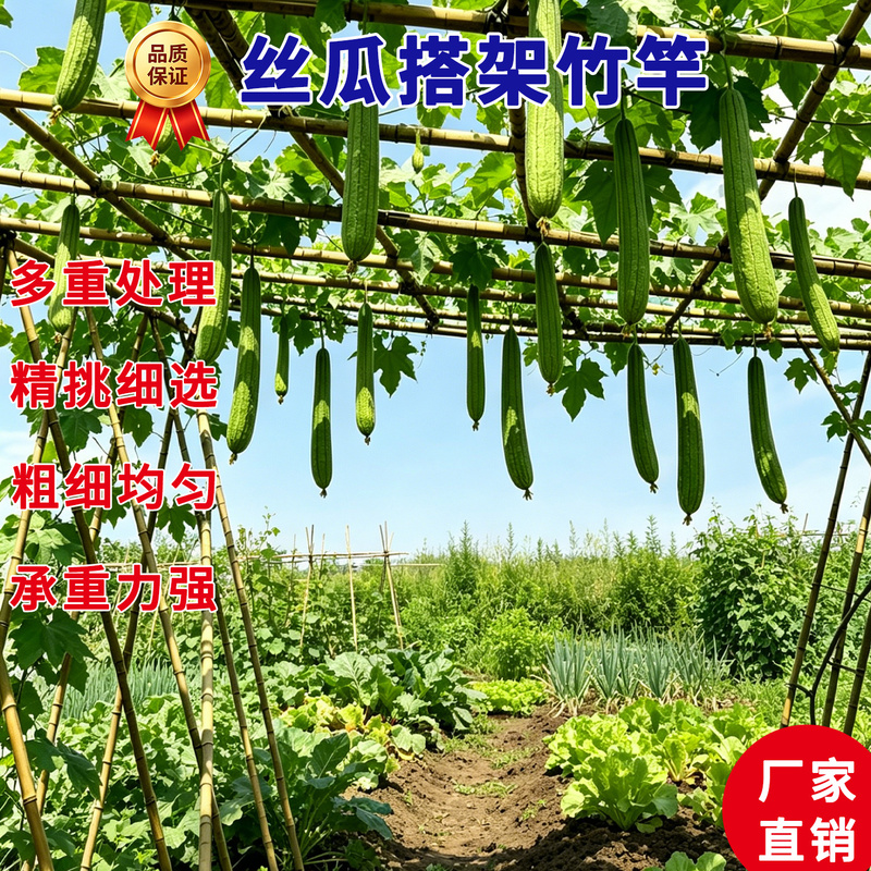 Bamboo Poles for Garden Trellises, Climbing Cucumber and Bean Plant Support Rods, Windproof Bamboo Trellises for Gardening Bamboo Poles for Garden Trellises, Climbing Cucumber and Bean Plant Support Rods, Windproof Bamboo Trellises for Gardening