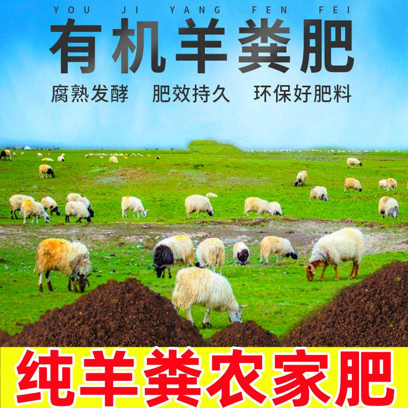 纯羊粪发酵肥:绿色农业的养料密码