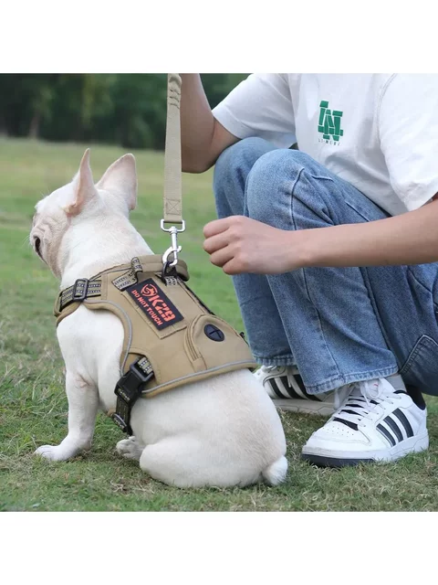 Large Dog Tactical Collar Leash, Large Dog Neck Collar, Medium Dog Collar, Malinois, Golden Retriever, German Shepherd Neck Harness, Bulldog Neck Strap