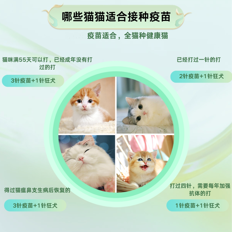 妙三多猫三联疫苗国产硕腾全套自打+进口狂犬套餐,幼猫成猫必备免疫攻略!-宠物疫苗-淘宝百科网