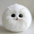 猫狗星球驿站