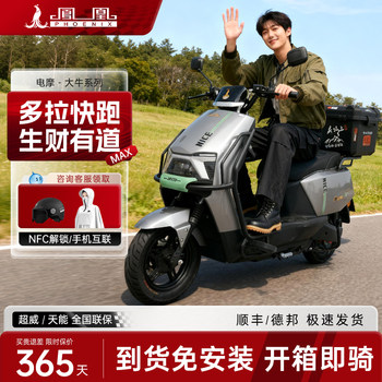 Phoenix High-Speed Electric Motorcycle 2025 New Model Electric Vehicle with Ultra-Long Range for Adults, Smart New Electric Motorcycle for Delivery