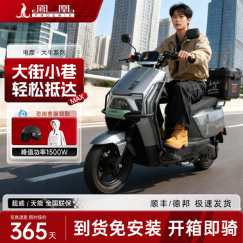 Phoenix Electric Motorcycle 2025 New Model Electric Vehicle with Ultra-Long Battery Life for Adults, Lightweight, New High-Speed Electric Motorcycle for Home Use