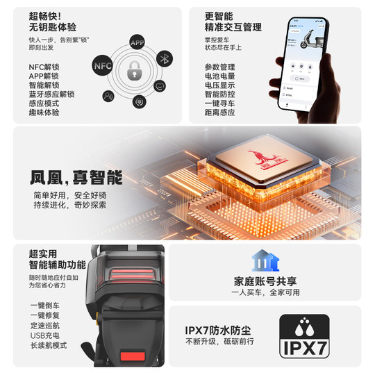 [ by Sf Express] Phoenix Electric Motorcycle 2025 New Model High-Speed Long-Range Electric Vehicle Adult Electric Motorcycle