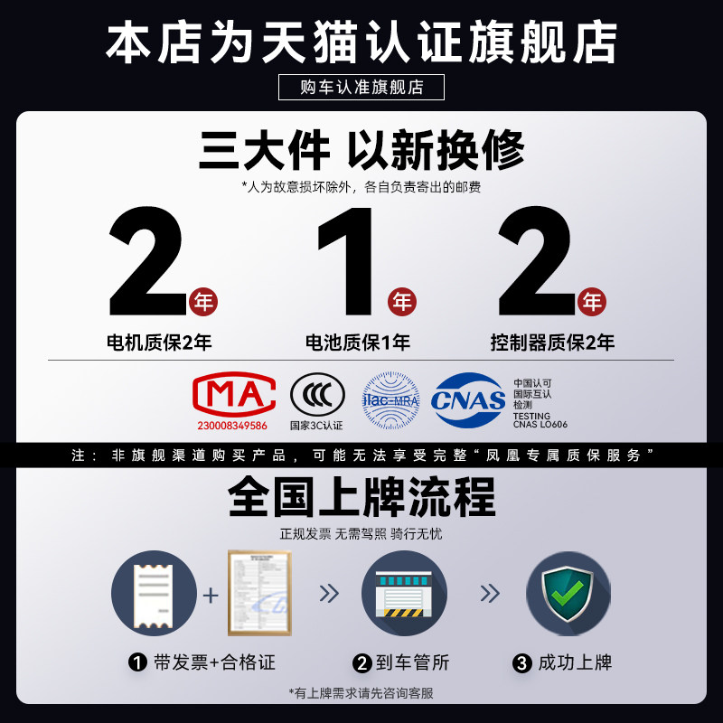 Phoenix Electric Scooter for Adults, Small Battery-Powered Vehicle, New National Standard Electric Bicycle, Lithium Battery, 2025 New Model for Transportation