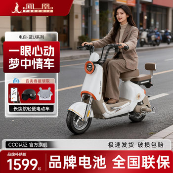 Phoenix Electric Vehicle 2025 New Model Electric Scooter, Small-Sized for Girls and Adults, New National Standard Retro-Style Electric Bicycle