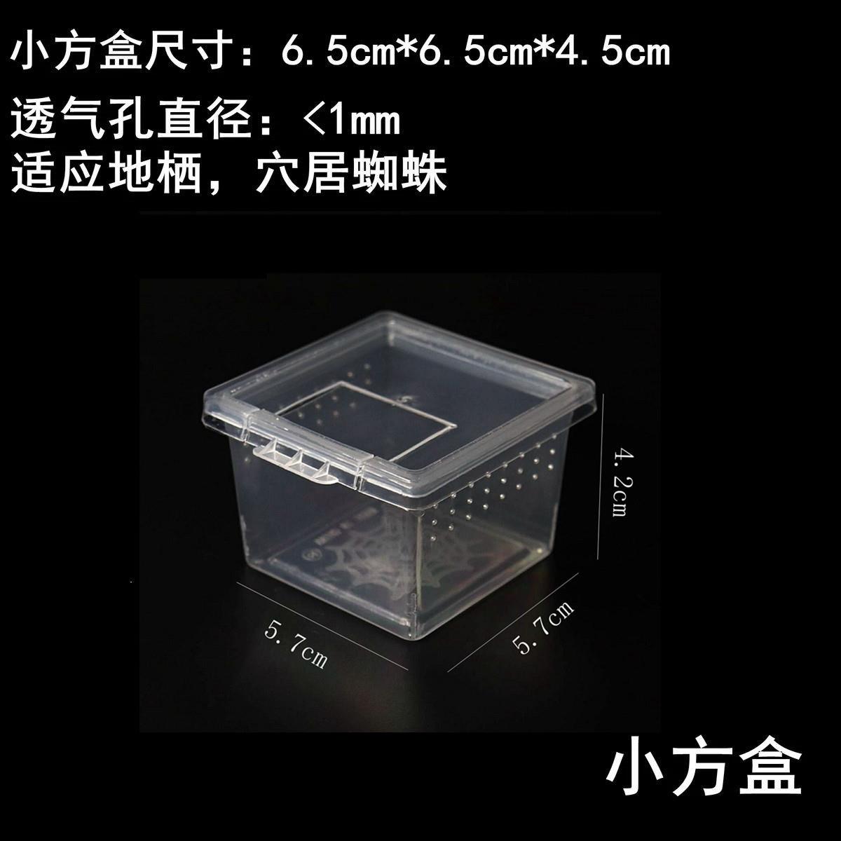昆虫幼体饲养盒：迷你翻盖透气树栖盒，养蜘蛛蝎子的最佳选择！🕷️🌿