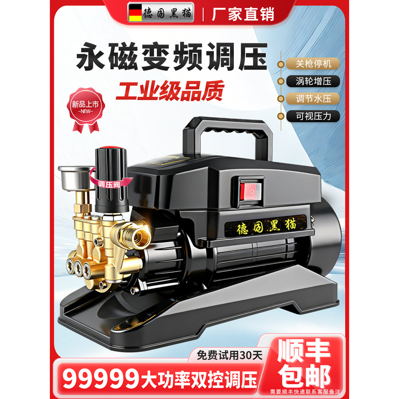 German Black Cat High-Pressure Car Washer for Home Use 220V High-Power Cleaning Machine Portable Automatic Car Washing Tool