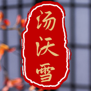汤沃雪企业店
