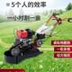 Multifunctional Old-Type Leek Harvesting Machine, Medicinal Herb Harvester, Hand-Held Gasoline/Diesel Harvester