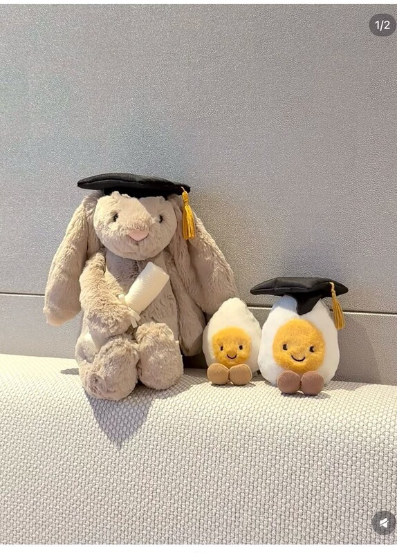 Authentic British Fun Bouquet Hand-Held Flower Shy Bonnie Rabbit Graduation Outfit Plush Toy Doctor Doll Gift