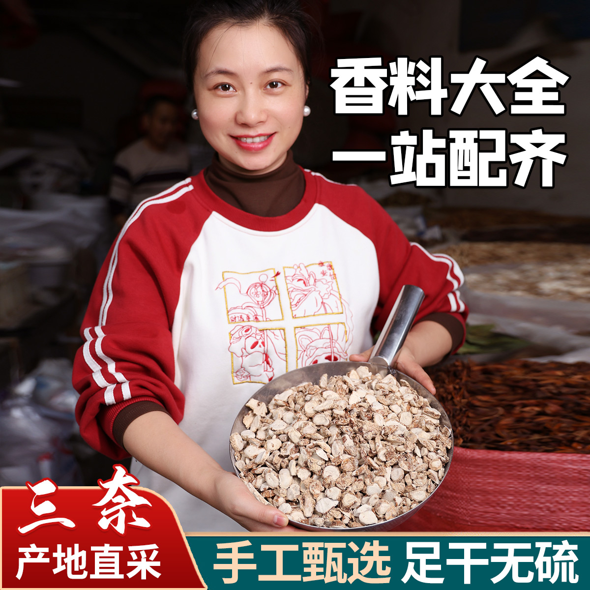 ガランガル 50g 無硫黄スパイス サンナイ調味料 砂生姜 ビッグ調味料 煮込み肉 鍋料理調味料 砂生姜