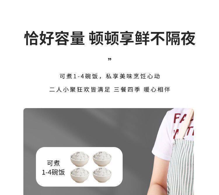 Плиты 德国迷你电子锅家用智能电饭锅多功能全自动学生宿舍快煮锅不沾锅 No brand