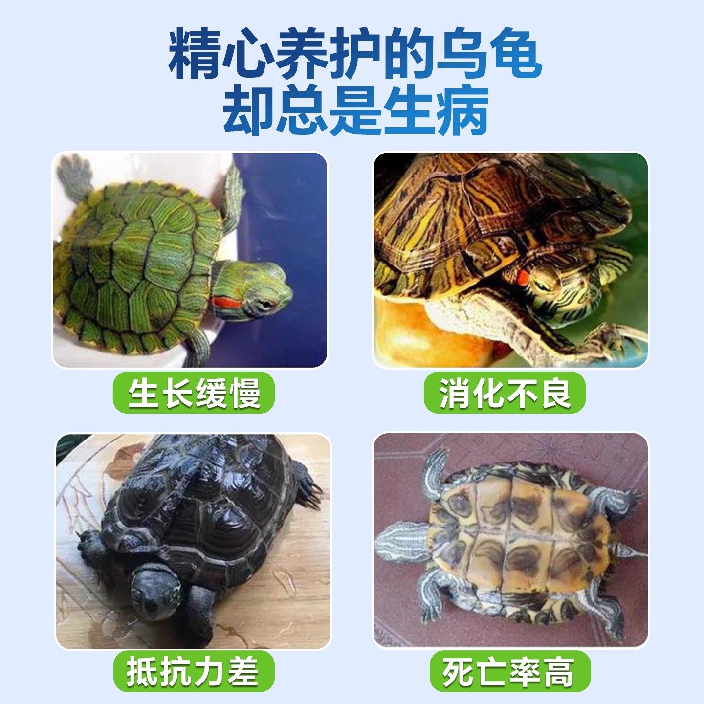 【龟鳖万能片】护龟神器！治腐皮烂甲厌食消毒杀菌净化水质💪-爬虫-淘宝好物网