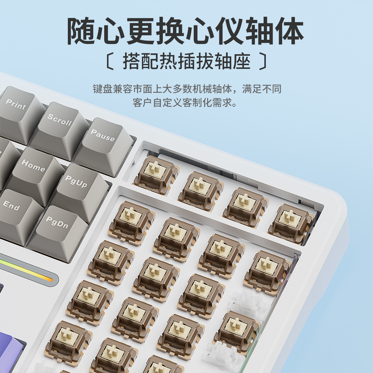 Wolf Spider F108 Mechanical Keyboard, Three-Mode Bluetooth Wireless, Customized for E-Sports Gaming, Side-Engraved, Suitable for Office Use