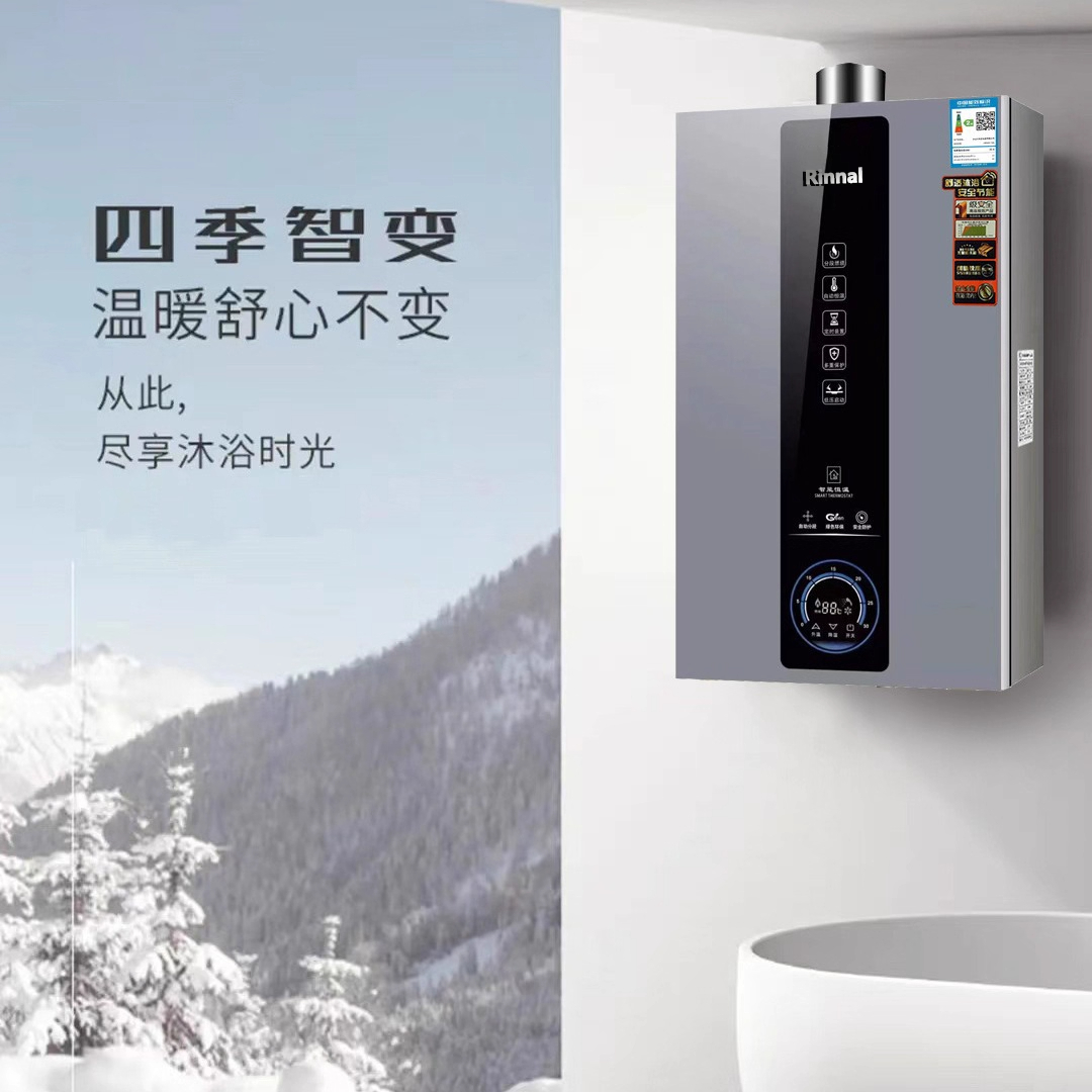 燃气热水器背后的精密守护者：强排式恒温系统剖析