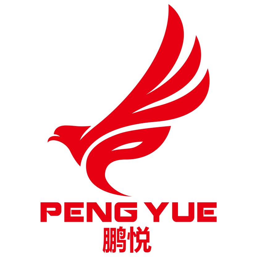 Peak匹克鹏悦企业店