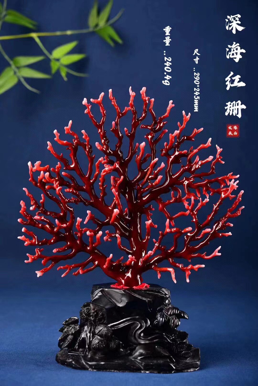 典传文玩客服V15261348309的LOGO