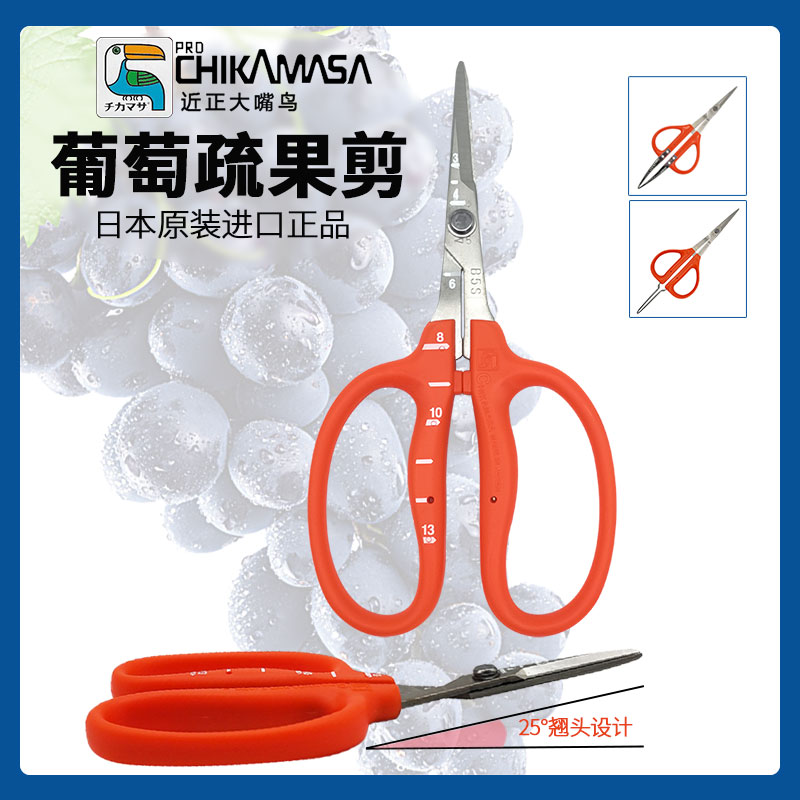 近正大嘴鸟chikamasa进口阳光玫瑰葡萄疏果蔬菜修枝专用剪刀镊剪
