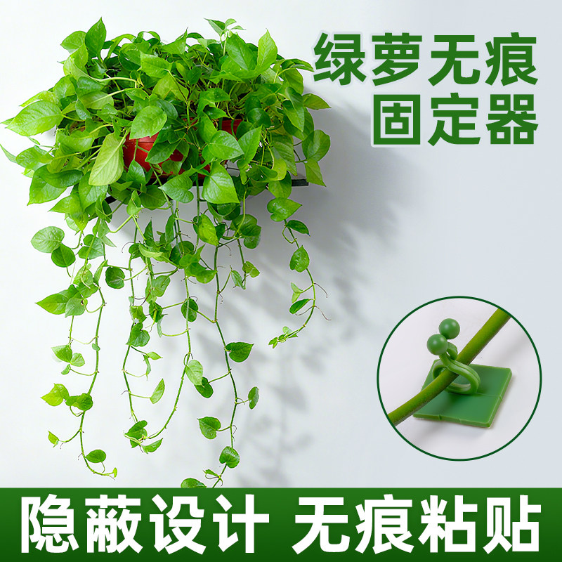 爬藤固定器绿萝架墙上绿箩爬上神器绿植无痕挂钩粘卡扣花夹子定型