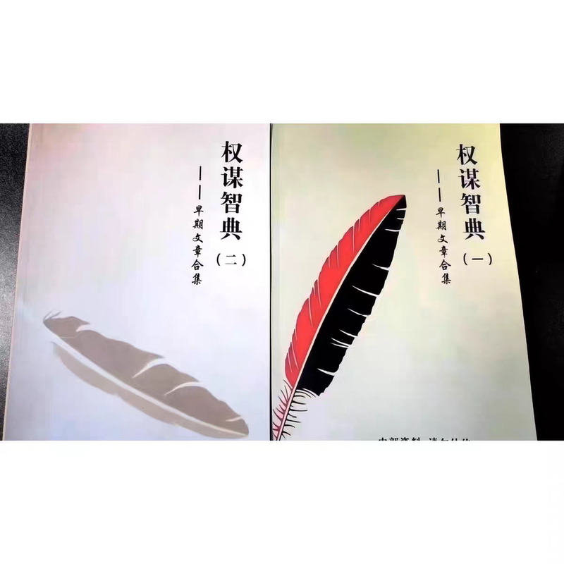 The Complete Book of Strategic Wisdom in Two Volumes: Q's Guide to Workplace Challenges — Understanding Human Rights Strategies