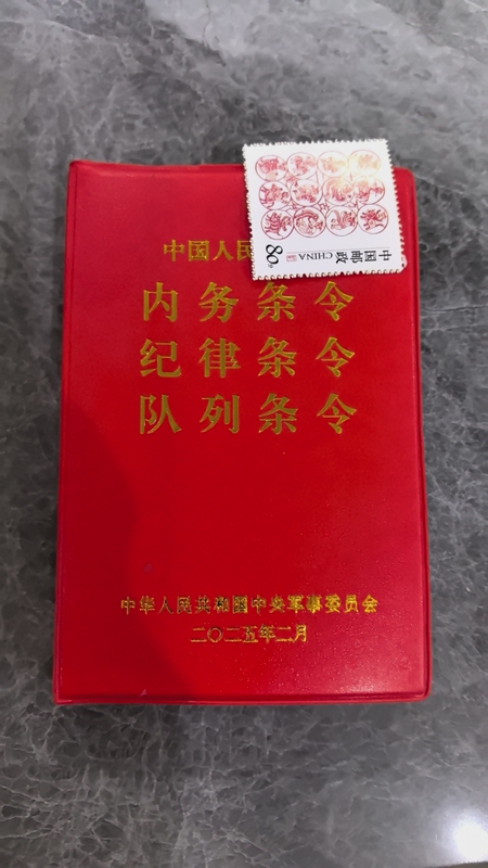Internal Affairs Discipline and Discipline in Line-Keeping 2025 Internal Affairs Discipline and Discipline in Line-Keeping 2025