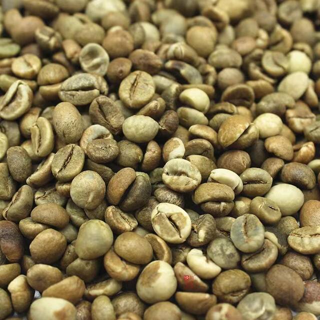 Robusta Coffee Beans Imported from Vietnam, New Season Coffee Green Beans from Laos, Commercial Medium-Sized Varieties, 16 Mesh 18 Mesh