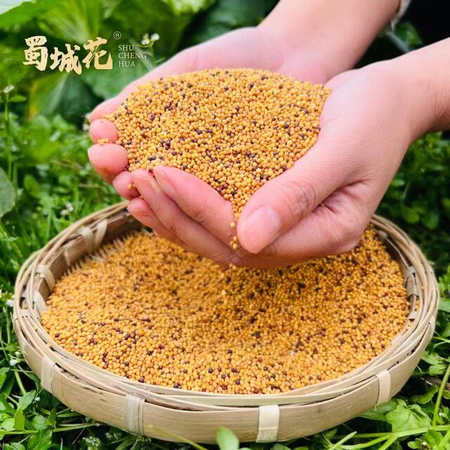 Soil-pressed rapeseed oil, non-GMO Sichuan aroma pressed edible oil 5