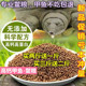 ອາຫານເຕົ່າອ່ອນທົ່ວໄປ, ອາຫານເຕົ່າ, ເຕົ່າອ່ອນຫອຍນ້ອຍ, ເຕົ່າອ່ອນຂອງຈີນ, ລູກປານ້ຳ, ອາຫານປາ, ອາຫານເຕົ່າ, ອາຫານພິເສດສຳລັບເຕົ່າ ແລະ ໄຂ່ມຸກ.