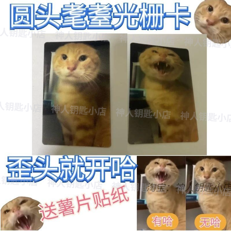 爱猫TV叮咚鸡哈基米猫爹圆头耄耋光栅卡闪卡耄耋薯片幻影哈气术