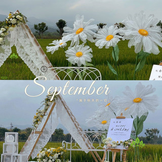 New wedding daisy handmade paper flowers white flower window decoration props gauze flower scene layout wedding road leading flowers