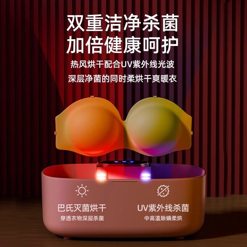 Underwear Disinfection and Sterilization Box, Small Clothes Dryer, Intimate Clothing Ultraviolet Ozone Household Dryer Sterilizer
