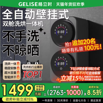 Wall-Mounted Dual-Cavity Underwear Washing Machine with Integrated Washing, Drying, and Spinning, Small Fully Automatic Separate Bucket Mini Sock Washing Machine