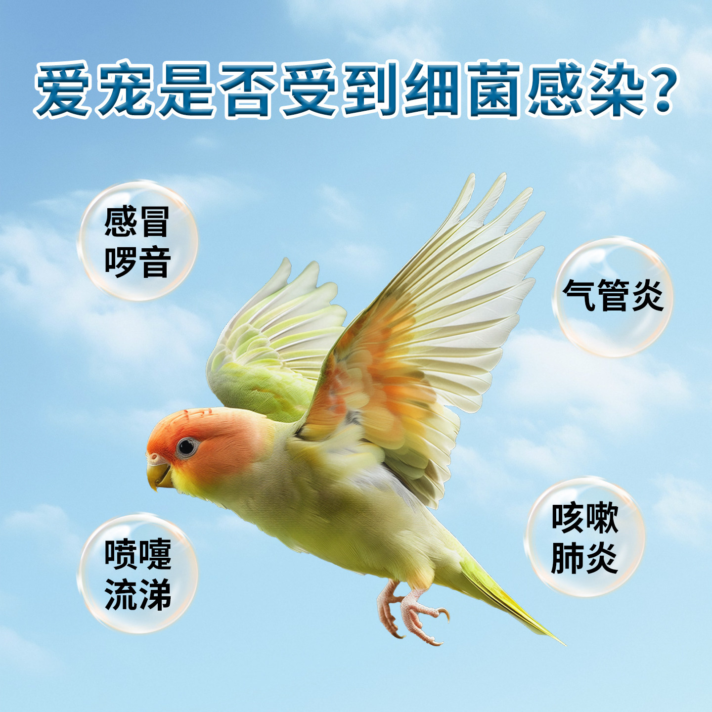 宠物鸟感冒咳嗽救星！鸟用多西环素片+虎皮玄凤鹦鹉专用感冒药，张嘴呼吸也不怕！-家养大动物药品-淘宝好物网, image size:1440x1440