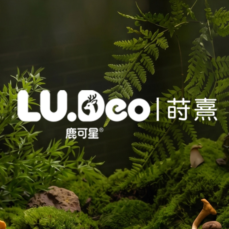 LUDeo 莳熹 [平台推荐好店]
