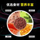 ອາຫານປາຄຳ Lanshou goldfish feed Thai lion fish foods small particles small fish general food fish floating food fishing