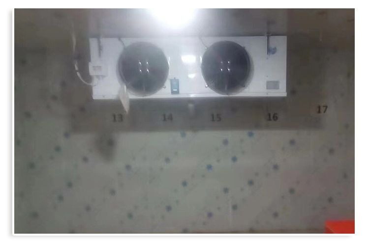 冷库制冷机组全套设备小型家用保鲜冷藏冷冻库冷风机风冷水冷机(图14)