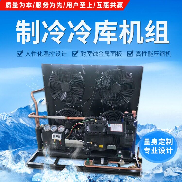 原装大明制冷比型半封闭制冷机组活塞压缩机风冷2YD-2.2小二缸机(图5)