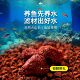 Volcanic Stone Aquarium Substrate Sand for Ecological Landscaping, Large Volcanic Rock Particles, Traditional Fish-Keeping Filter Material