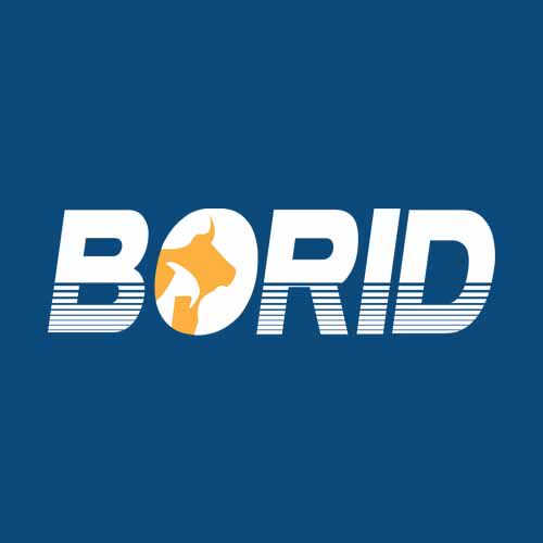 BORID宝润德生鲜旗舰店的LOGO