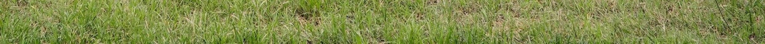 На открытом воздухе складной стул сверхлегкий Может портативный кемпинг стул Арт -эскиз стул рыбалка спинка Стул панель табуретка мазари 野未 