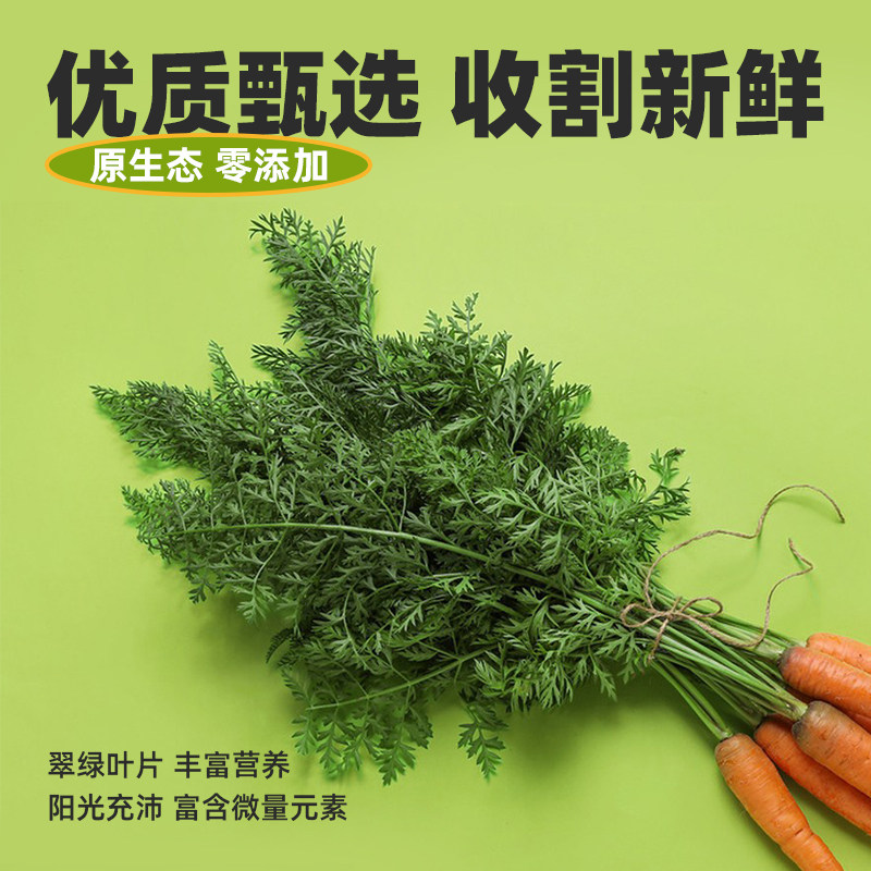 🥕宠物健康新选择!