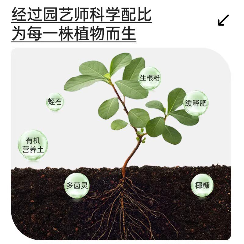 2026年养花种菜必备:通用型营养土如何挑选最合适?