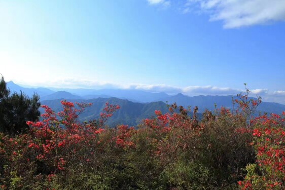 花无缺小铺