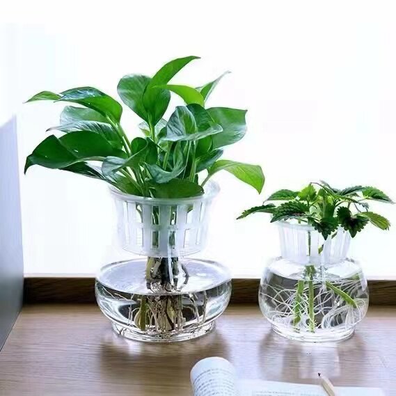 水培花瓶工厂