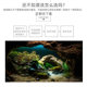 Fish Tank Background Sticker 3D High-Definition Image 5D Aquarium Aquatic Plants Cave Landscape Decoration Painting Adhesive Wallpaper Sticker