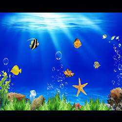 Fish Tank Background Sticker 5D Stereo Painting High-Definition Picture Underwater World 3D Aquarium Landscaping Decorative Sticker Self-Adhesive Paper