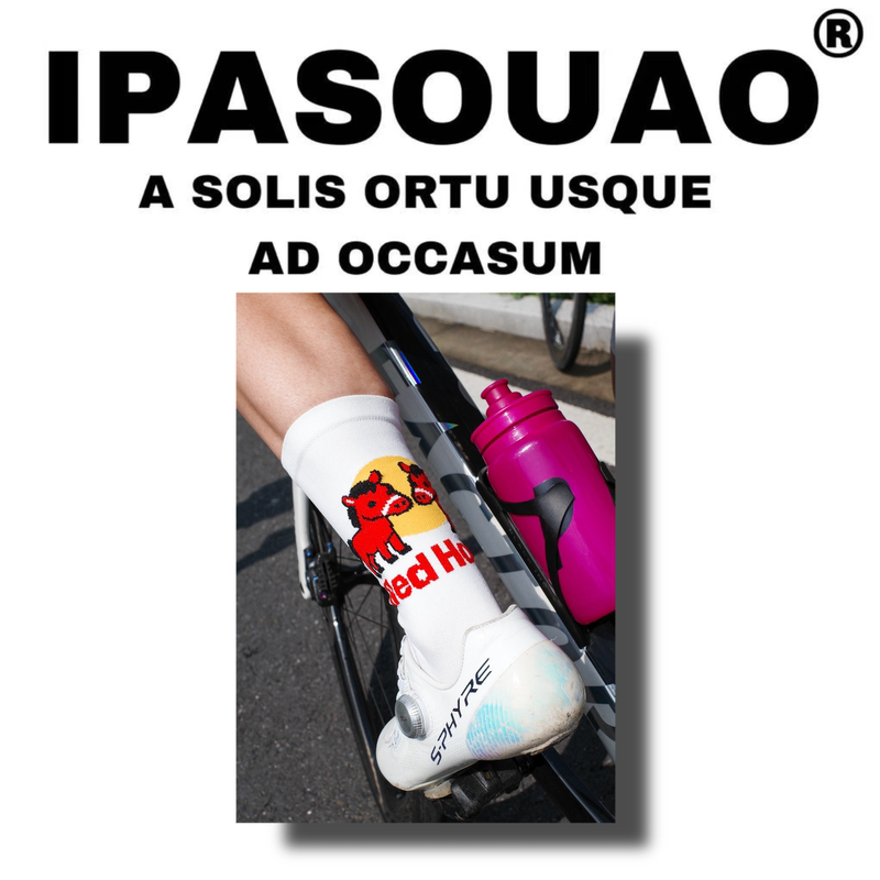 Ipa2546Pro: Professional Cycling Socks 2.0丨Sports Socks, Quick-Drying, Sweat-Absorbent, Breathable for All Seasons, High-End Creative White